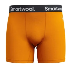 Active Boxer Brief Men's F25