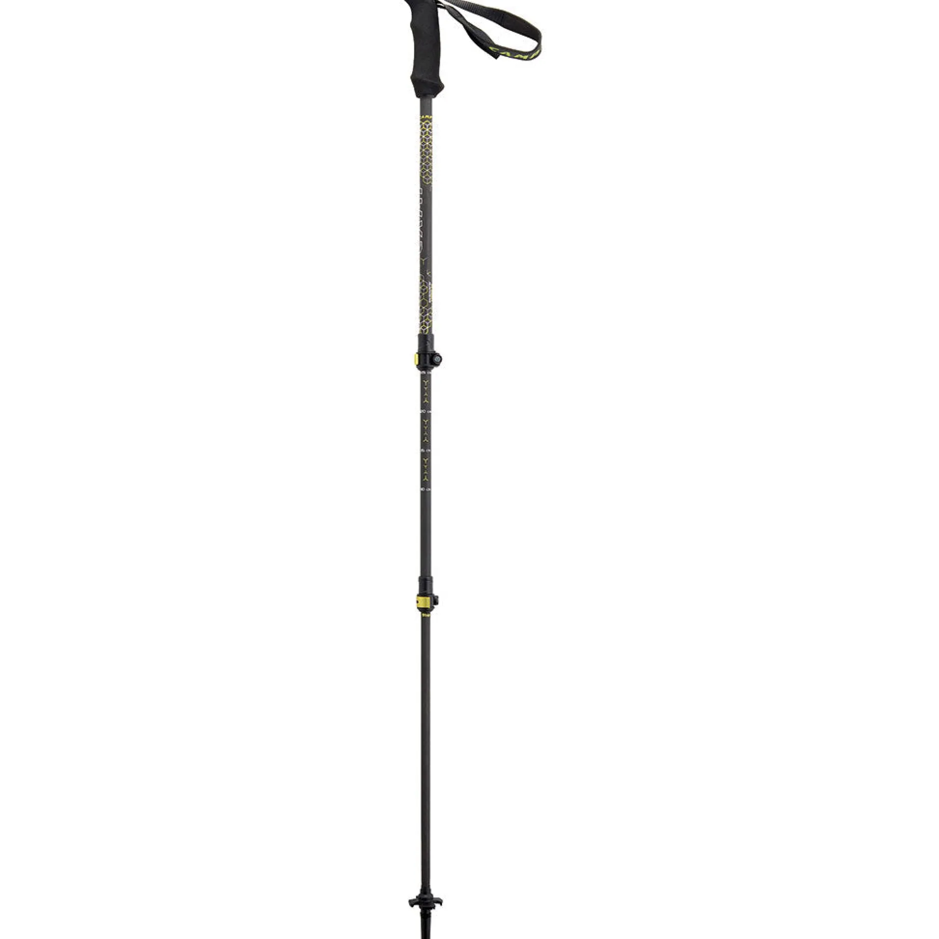 Backcountry Carbon 2.0 Poles