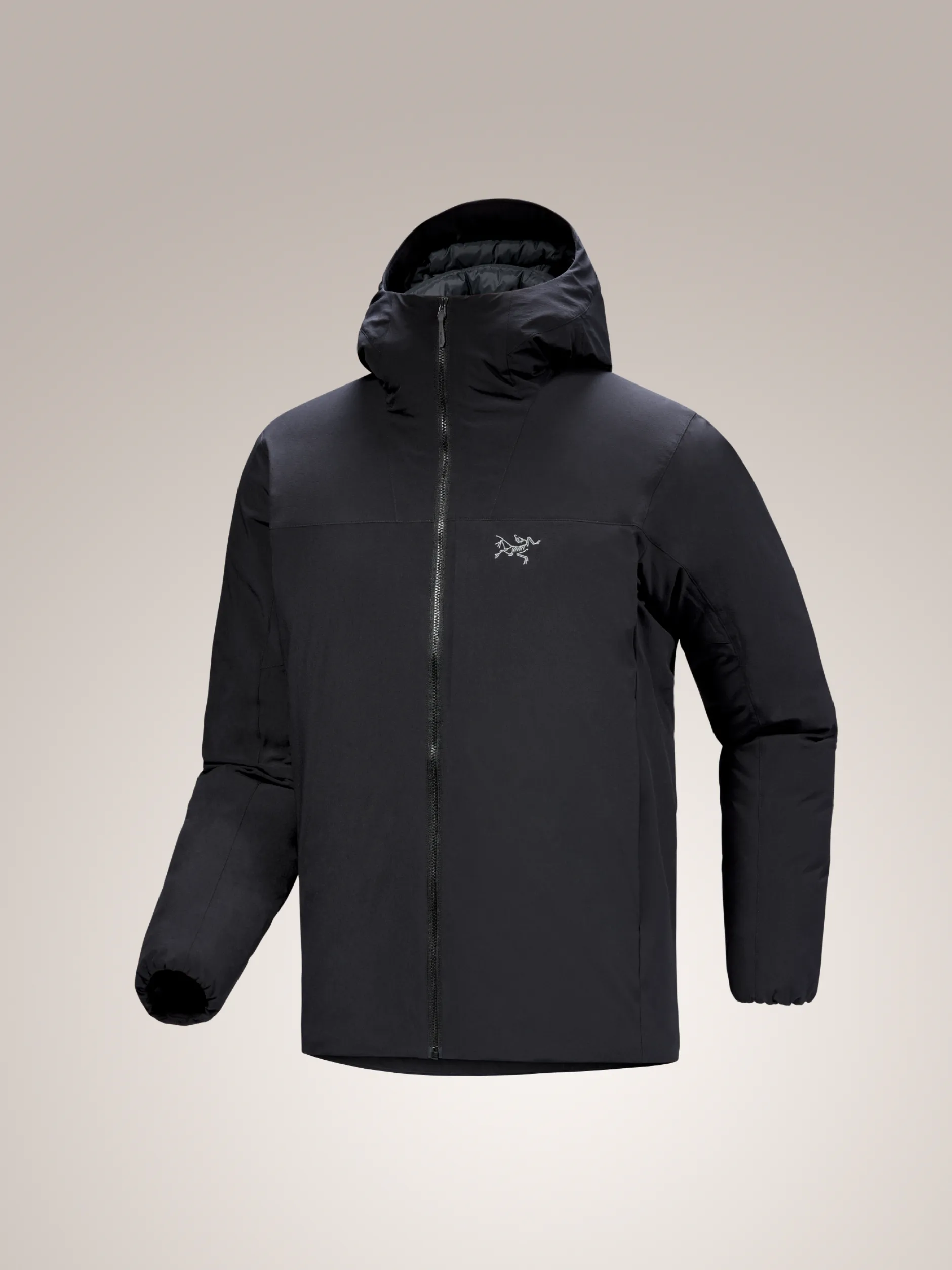 Epsilon Down Hoody Men's