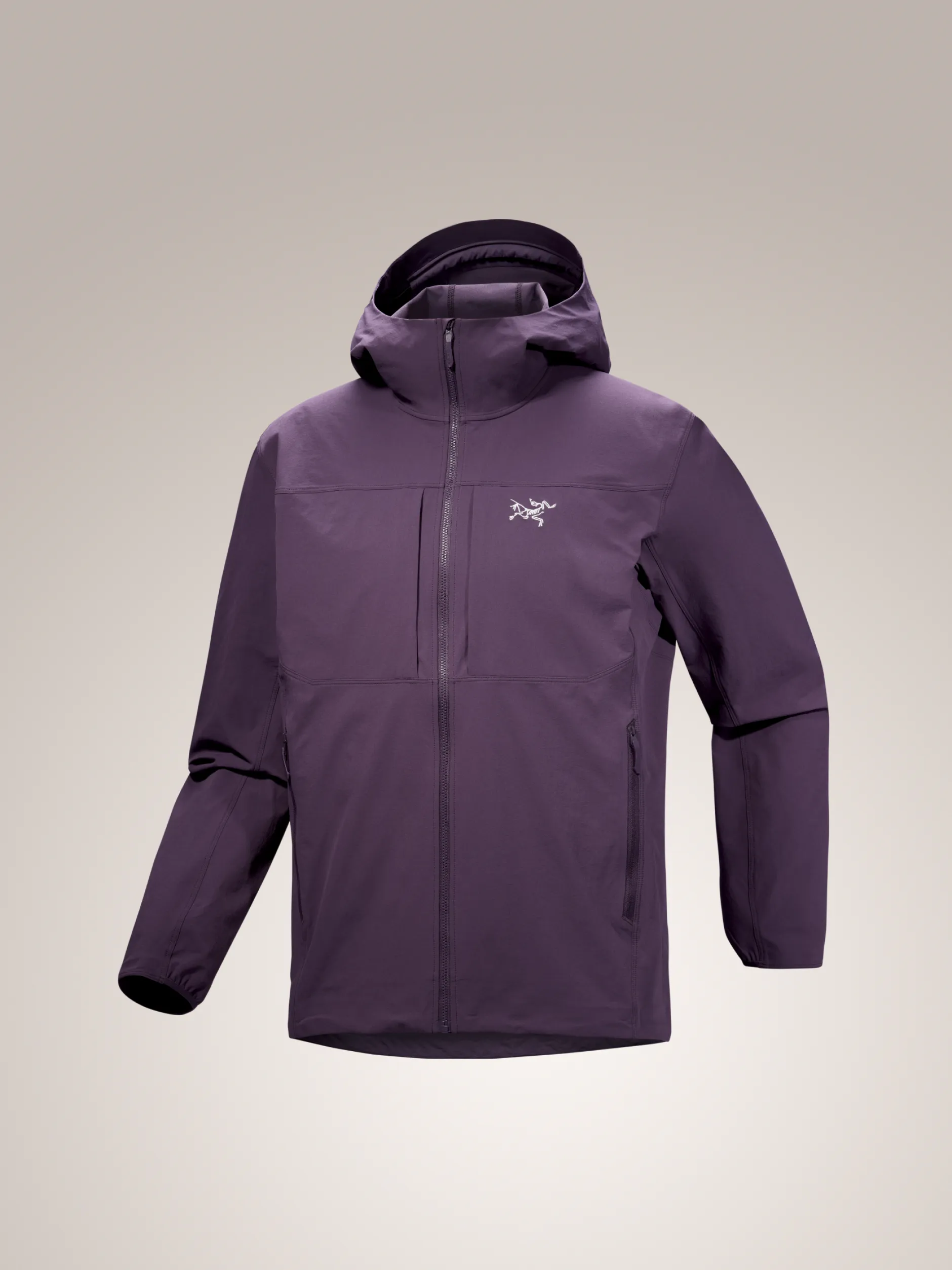 Gamma Hoody Men's