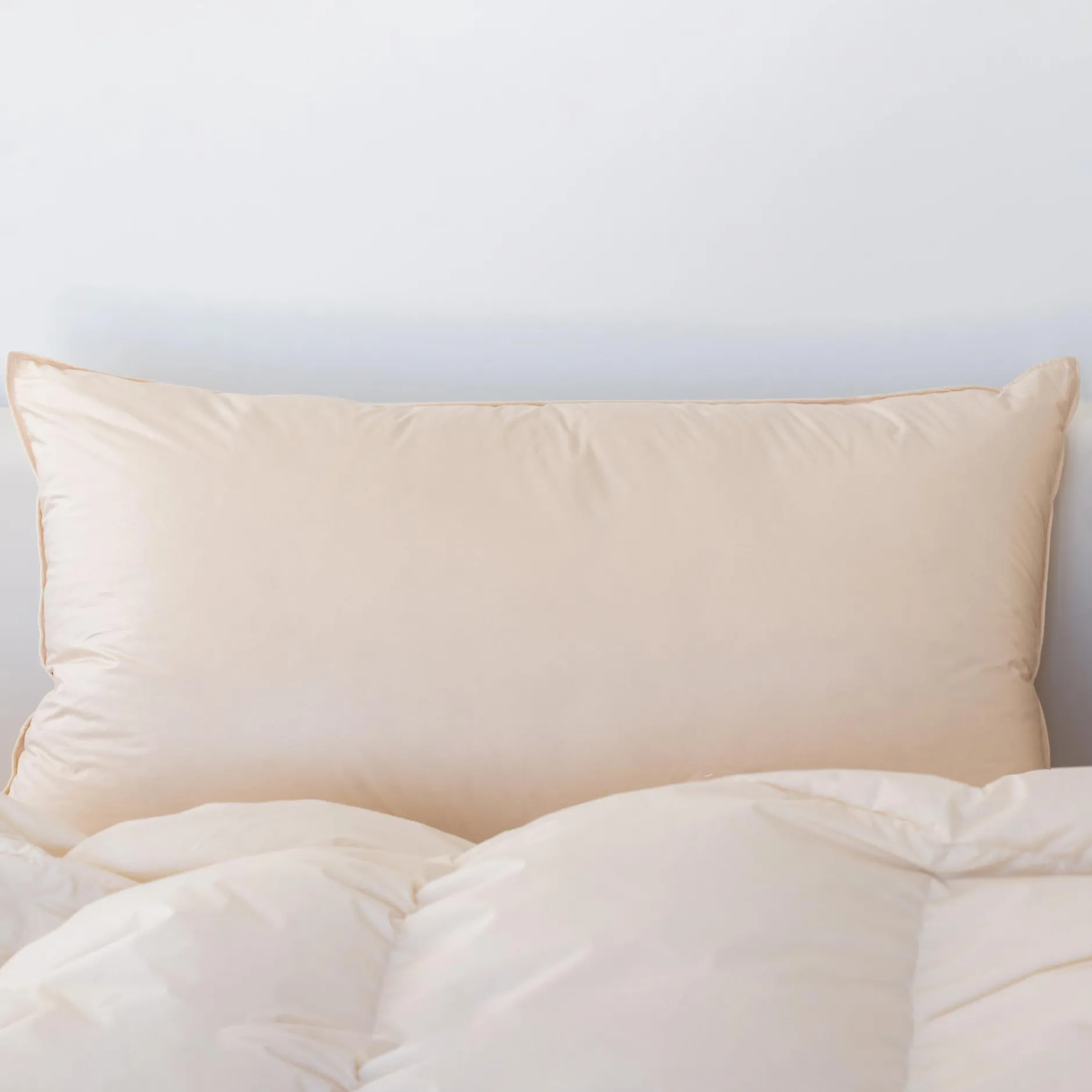 Organic Down Pillow
