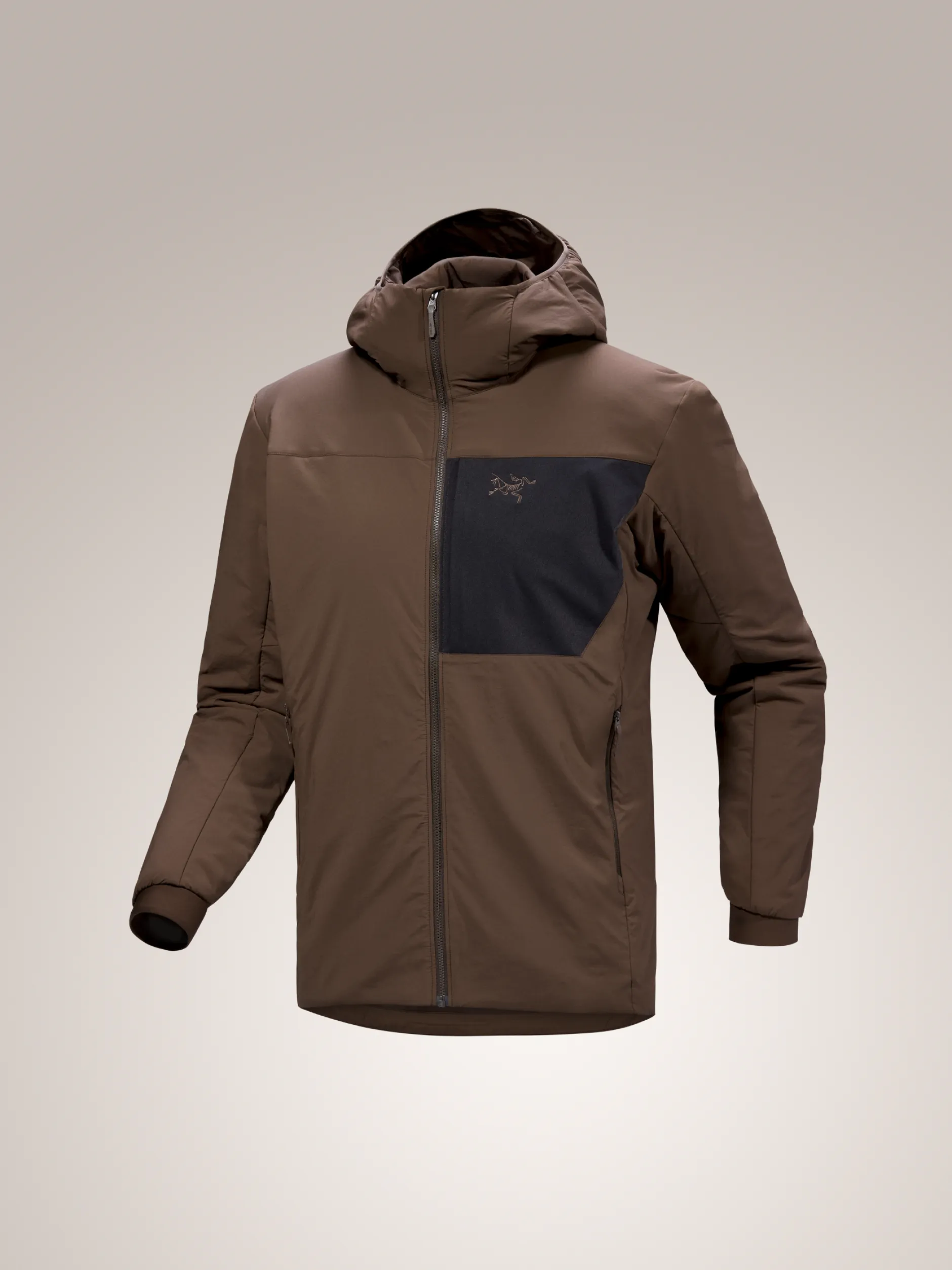 Proton Hoody Men's