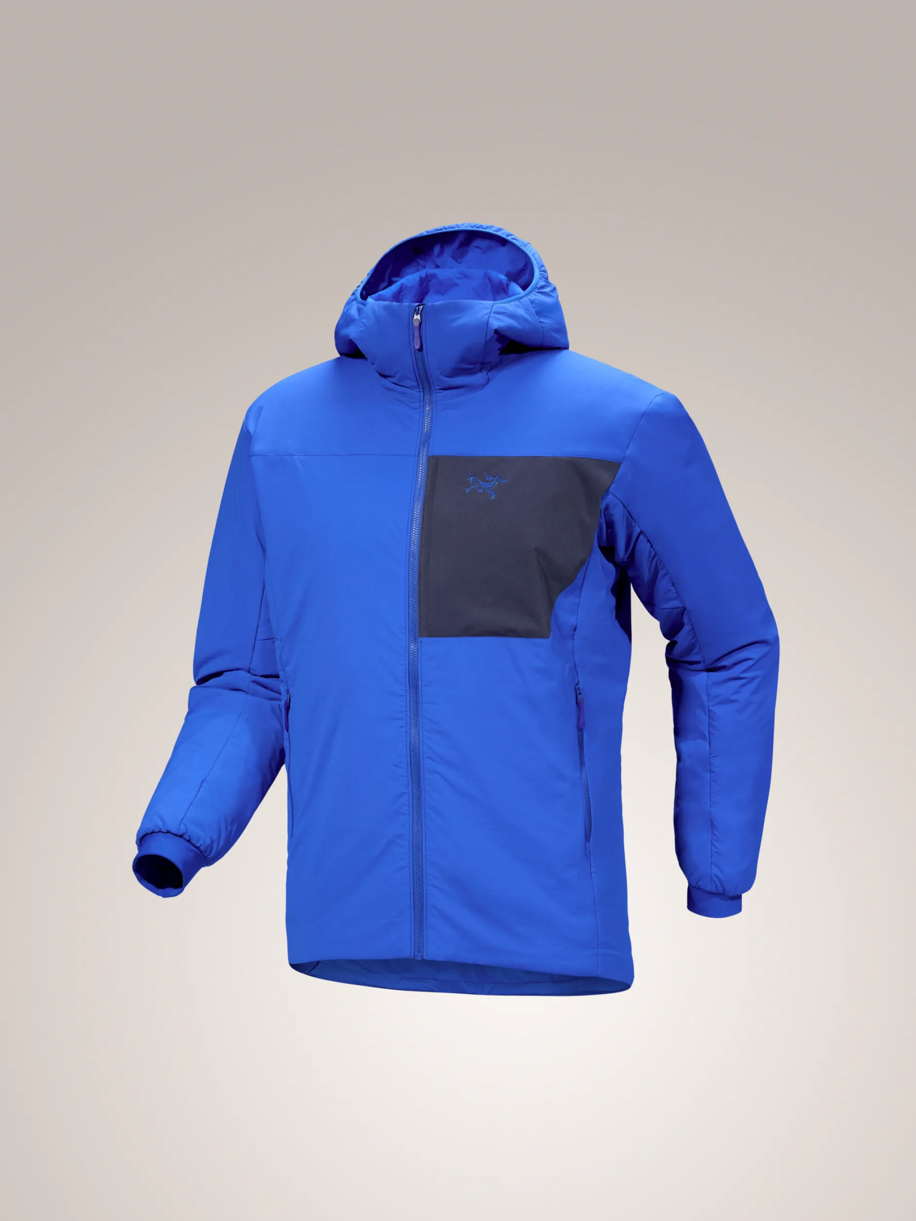 Proton Hoody Men's